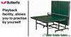 Butterfly Indoor- Premium 19 Rollaway - Table Tennis Table